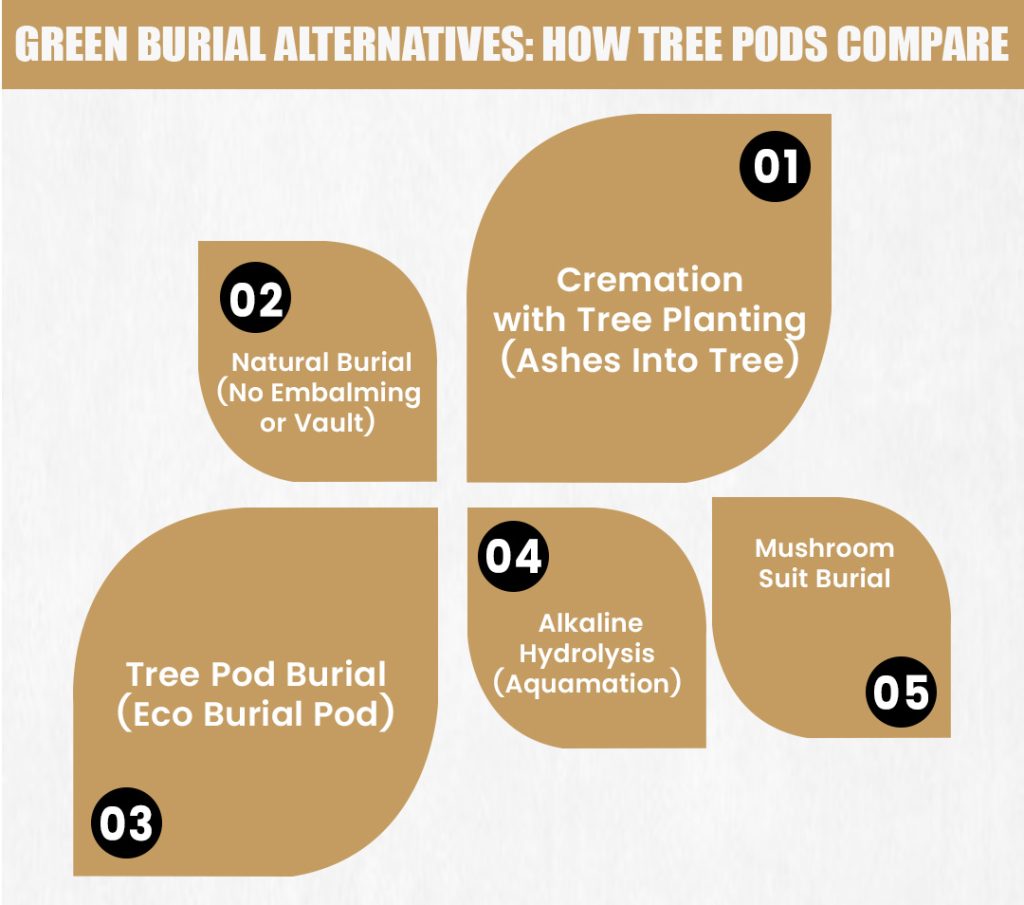 Green Burial Alternatives