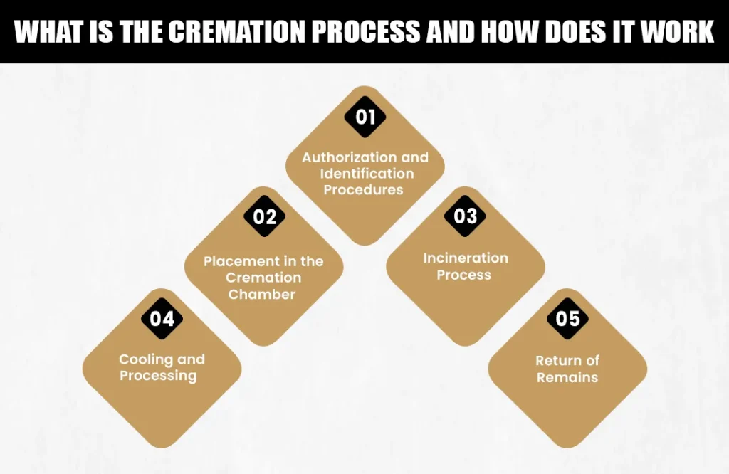 What Is the Cremation Process