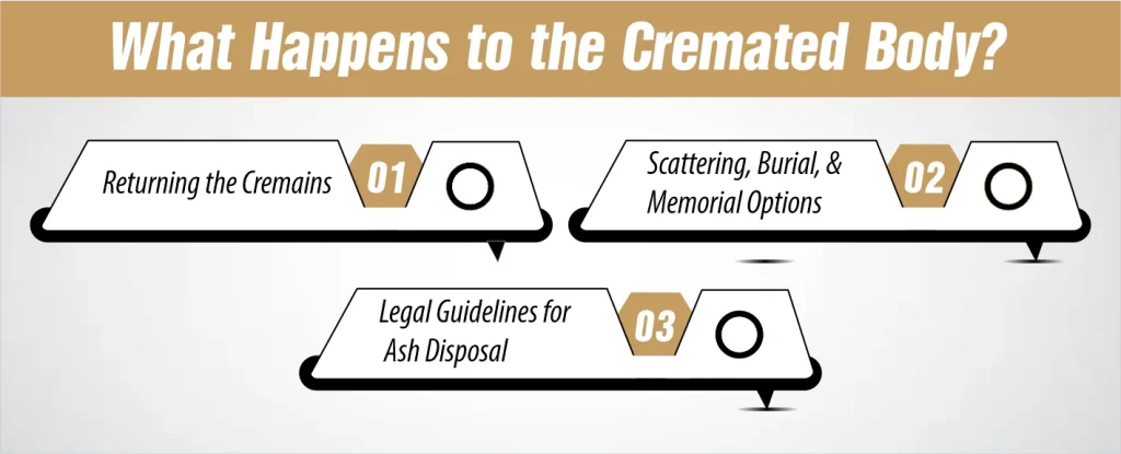 What Happens to the Cremated Body